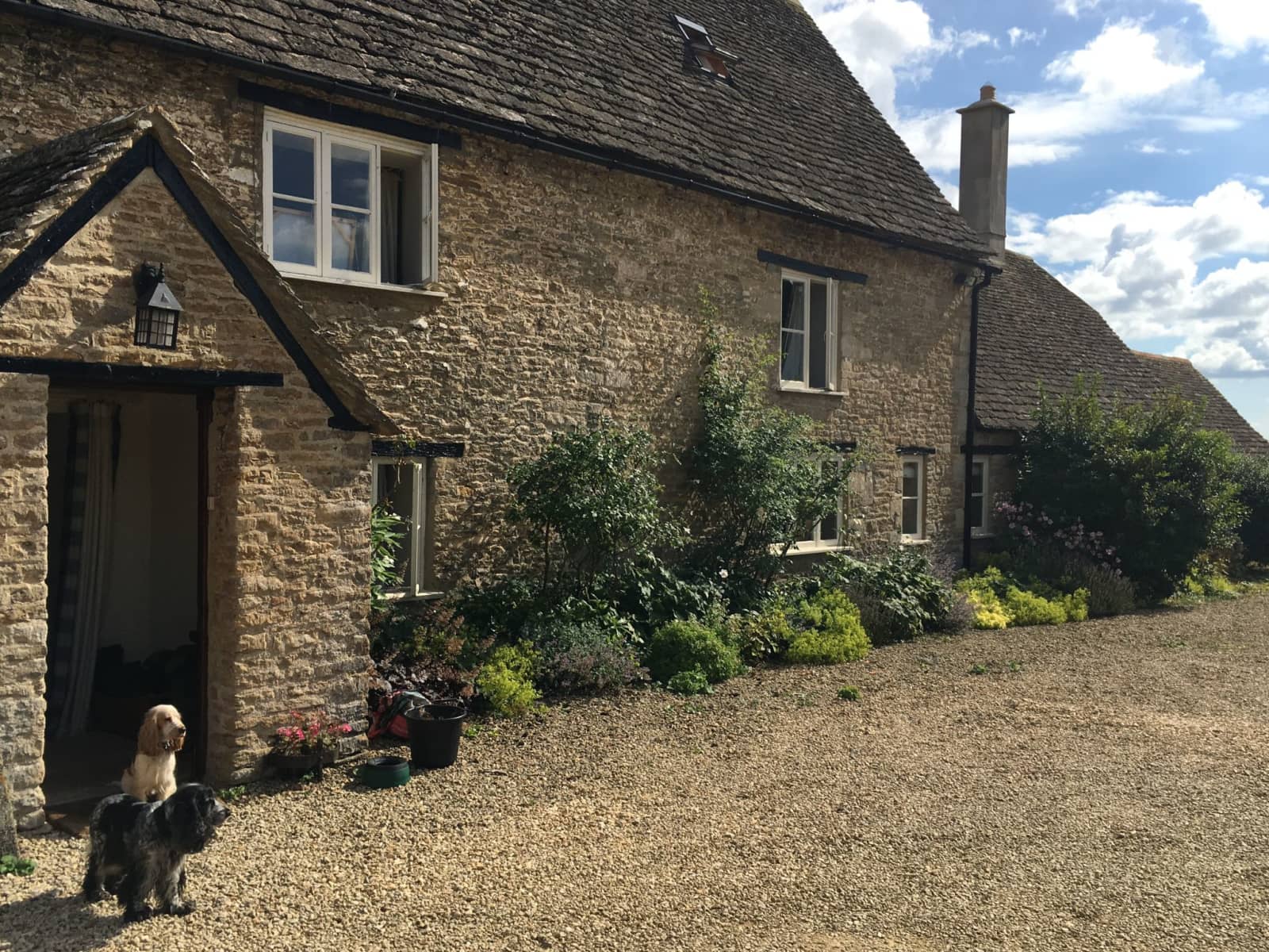 Housesitting assignment in Tetbury, United Kingdom
