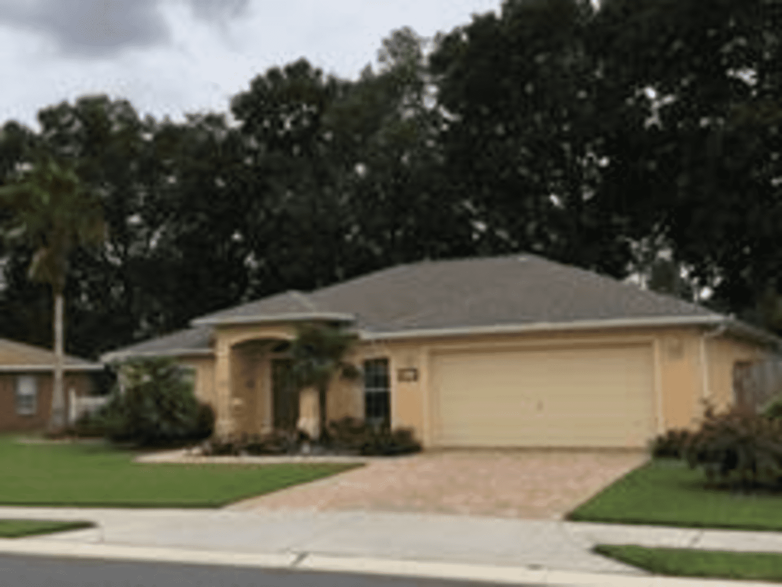 Housesitting assignment in Ocala, Florida, United States