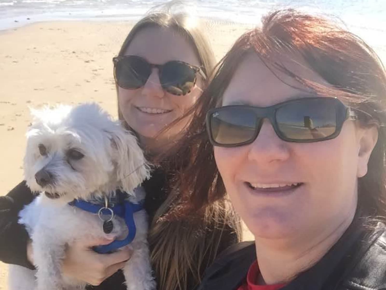 Michelle from Adelaide, South Australia, Australia