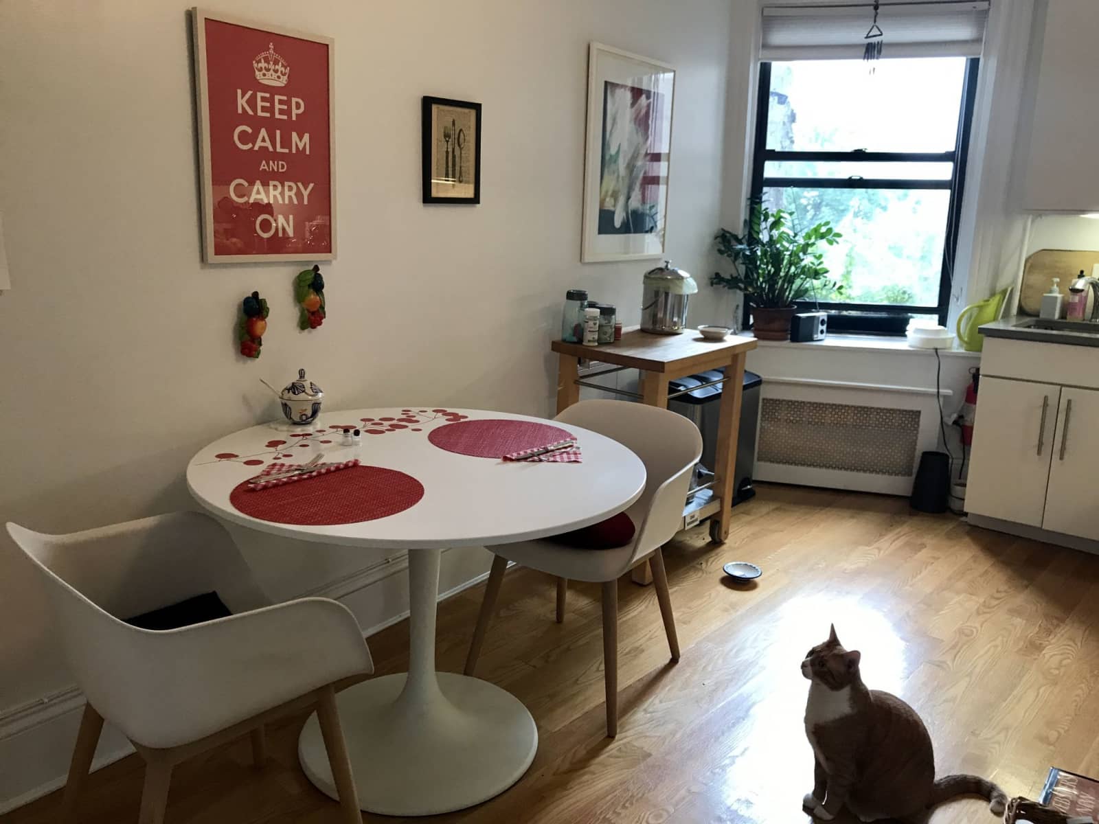 Housesitting assignment in New York City, New York, United States