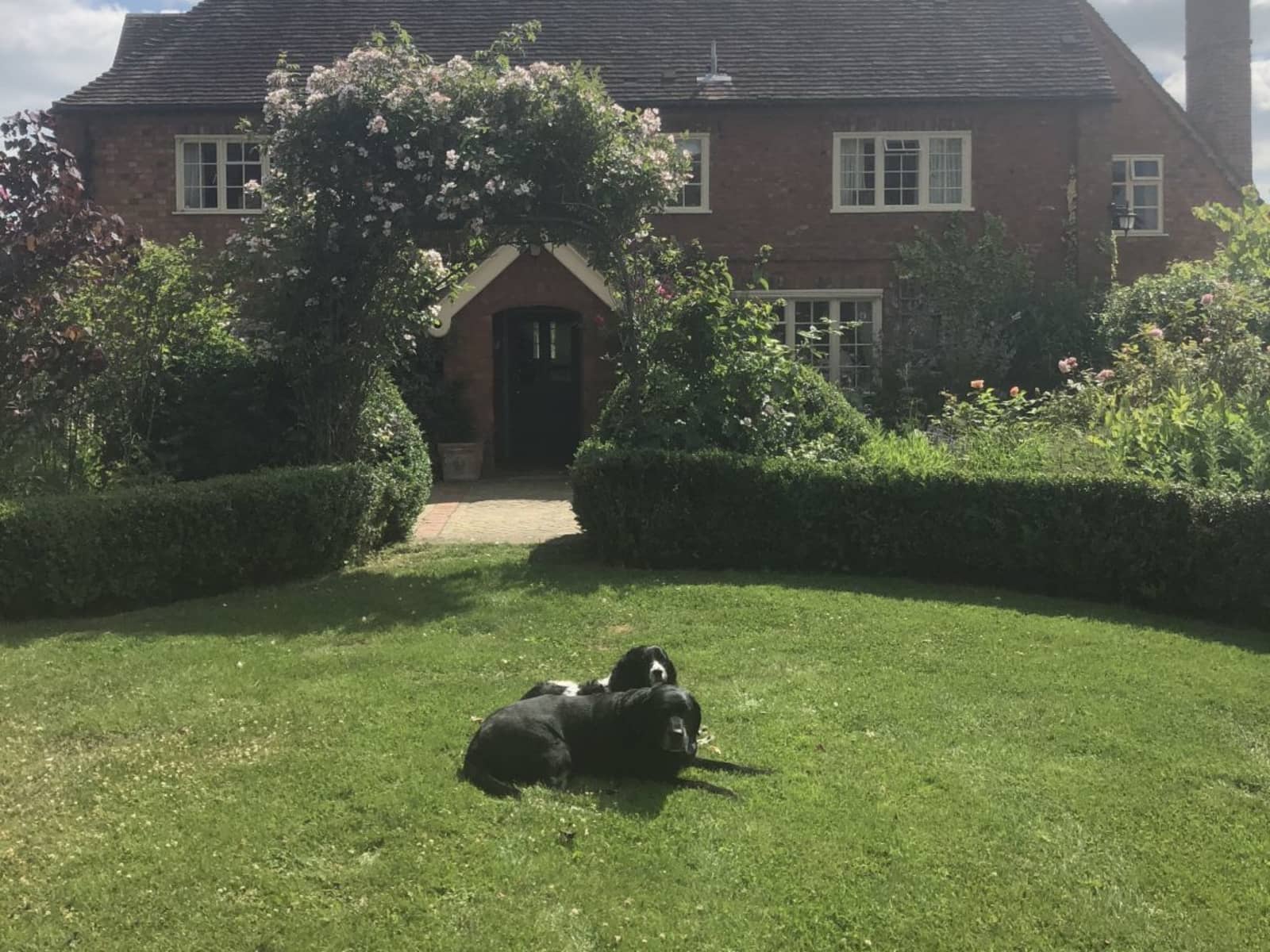 Housesitting assignment in Alcester, United Kingdom