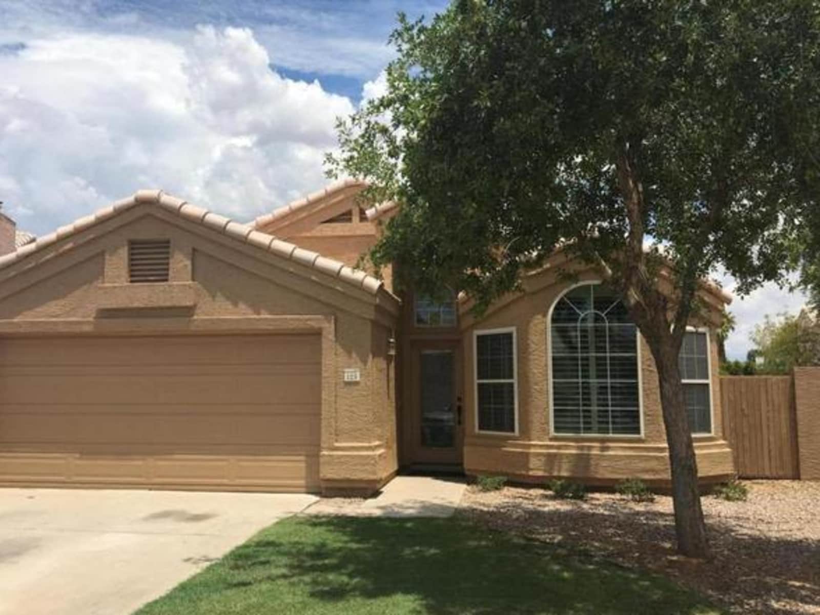 Housesitting assignment in Chandler, Arizona, United States