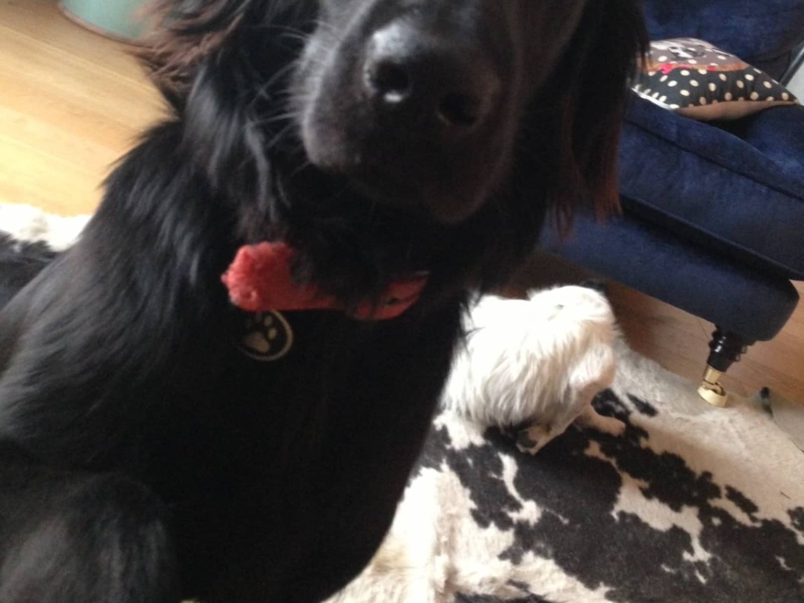Mandy & Charles from Worthing, United Kingdom