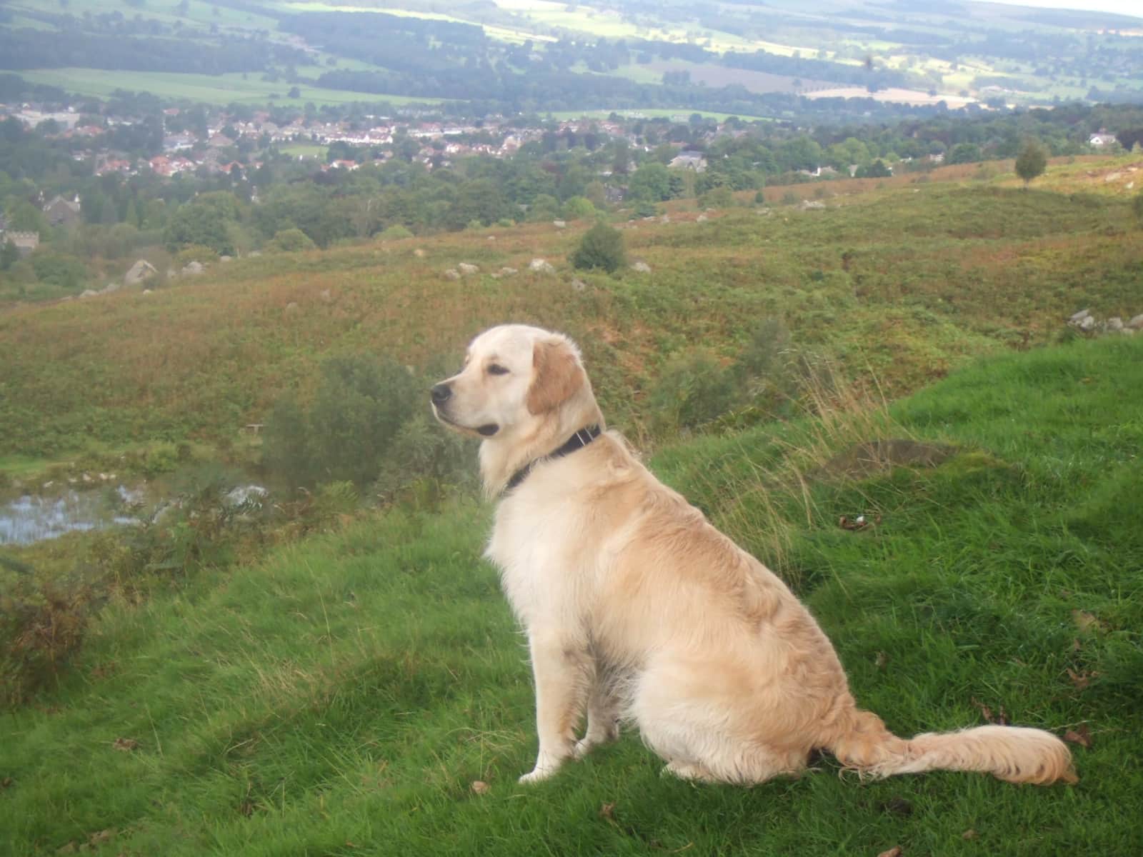Glynis & Doug from Ilkley, United Kingdom
