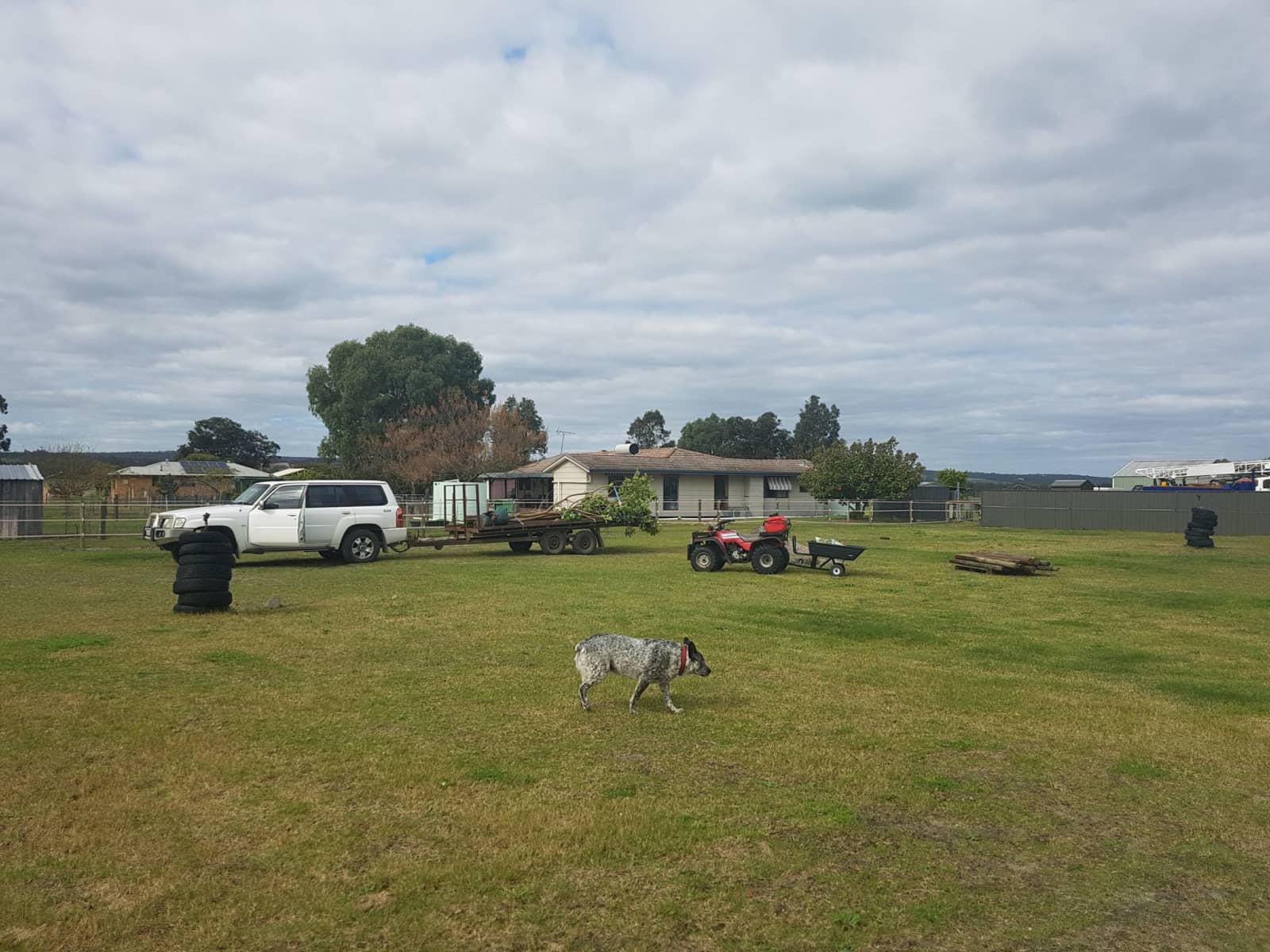 Housesitting assignment in Muchea, Western Australia, Australia
