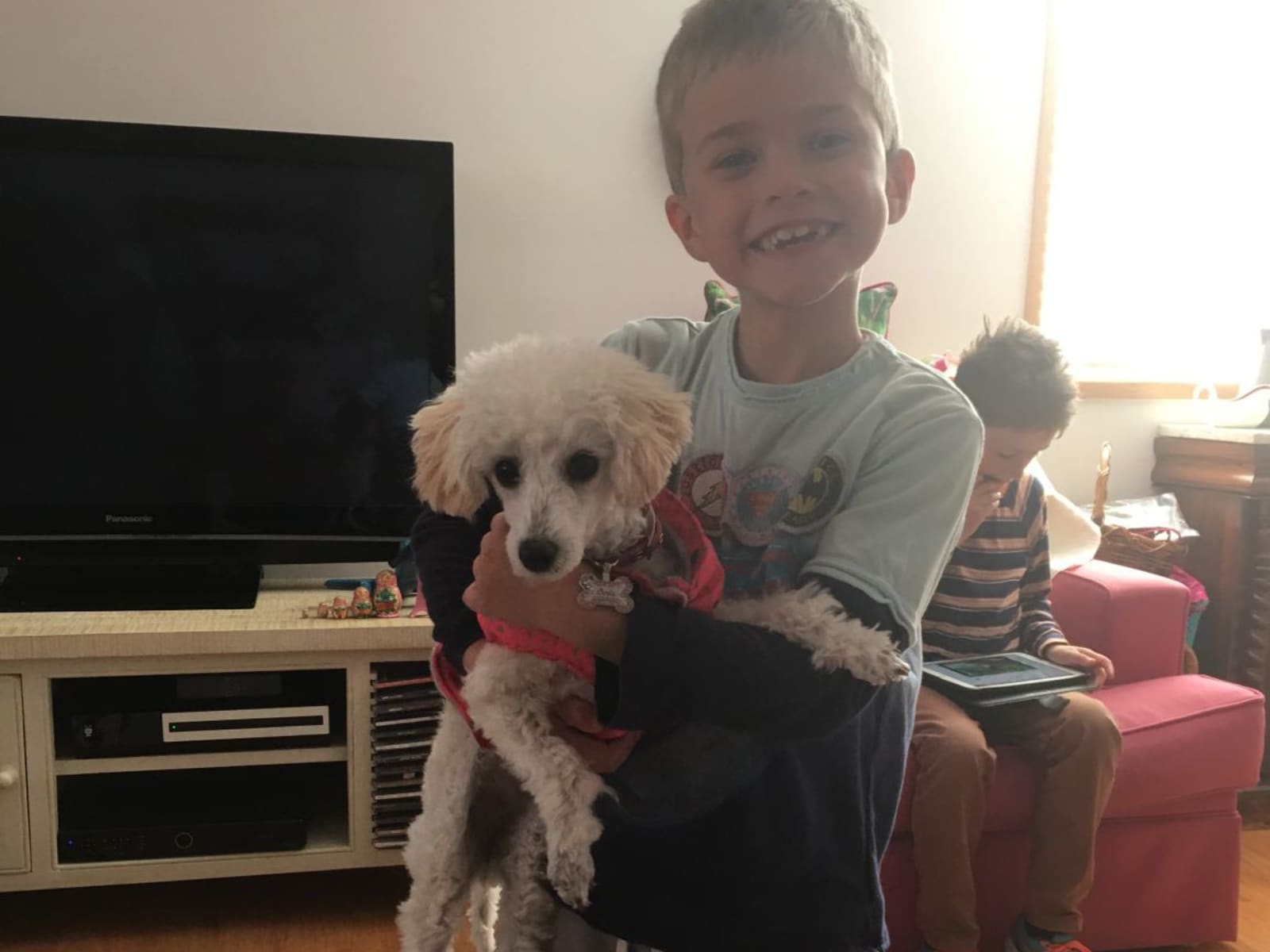 Housesitting assignment in Karabar, New South Wales, Australia