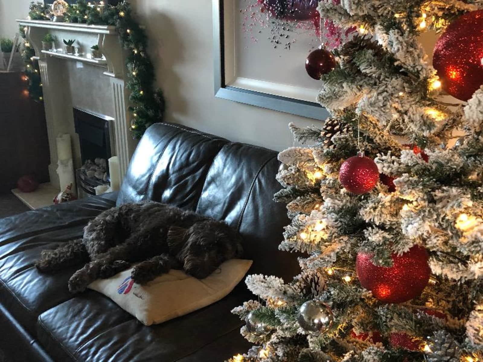Housesitting assignment in Barnoldswick, United Kingdom