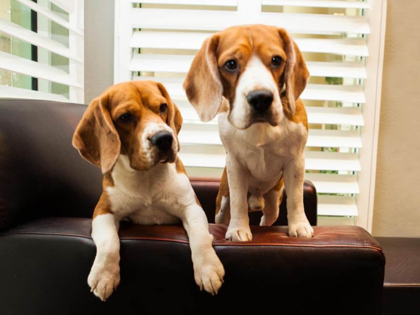 Lawrence & Juliana from Coconut Grove, Florida, United States