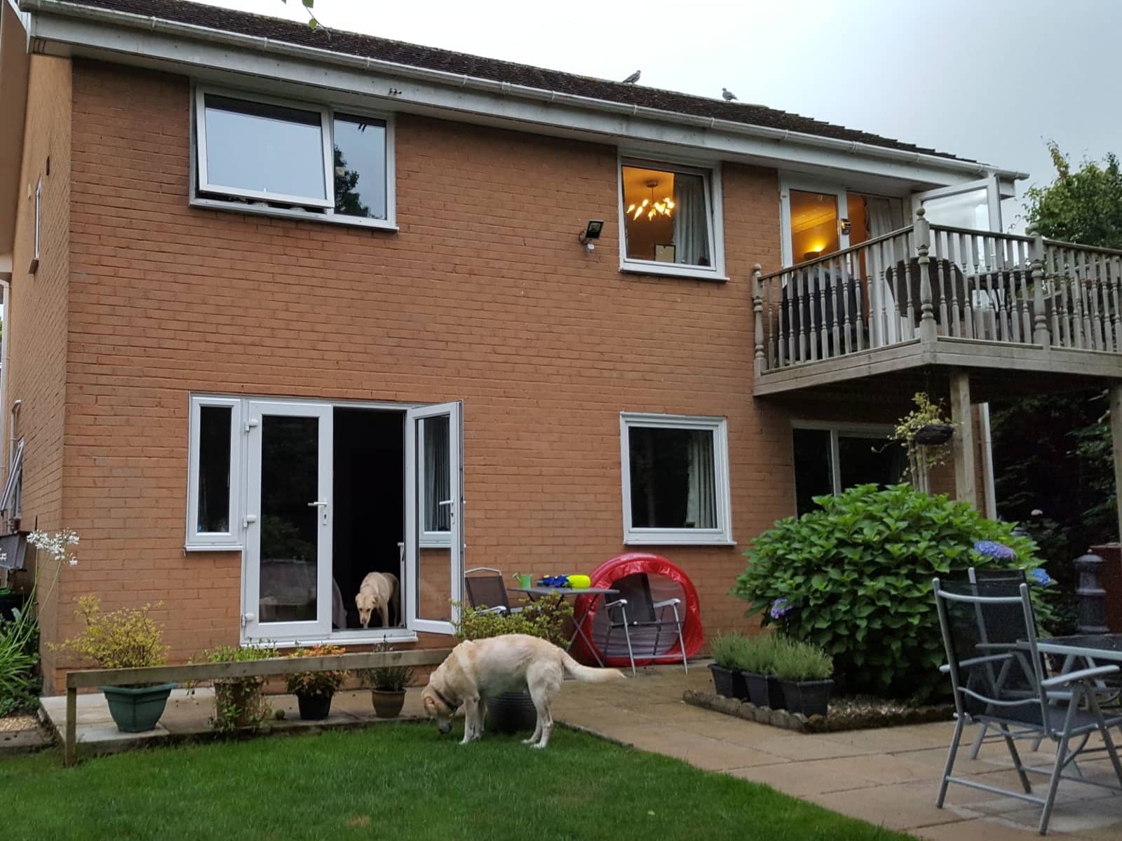Housesitting assignment in Exeter, United Kingdom
