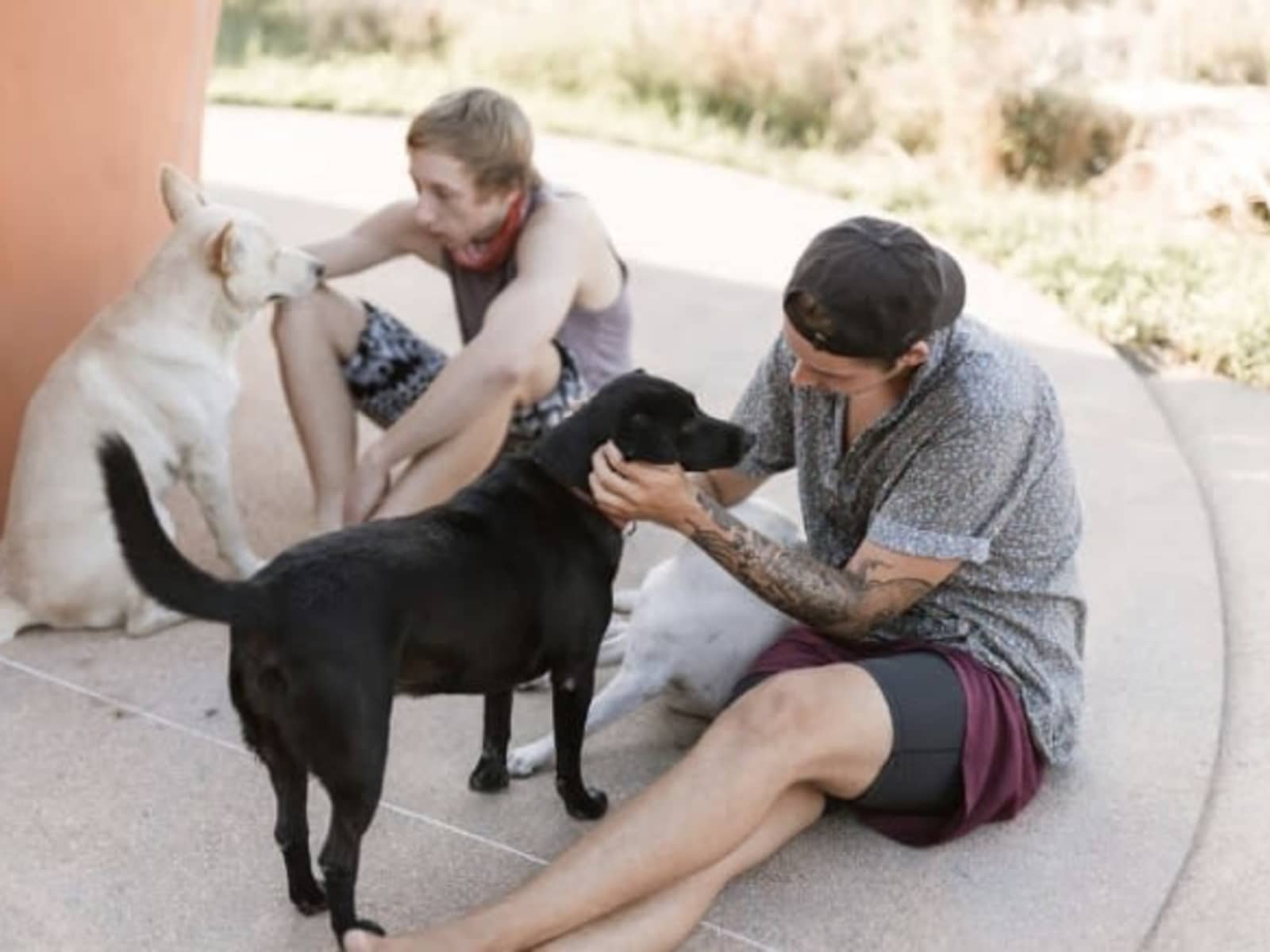 Caleb & Jake from Newmarket, Ontario, Canada