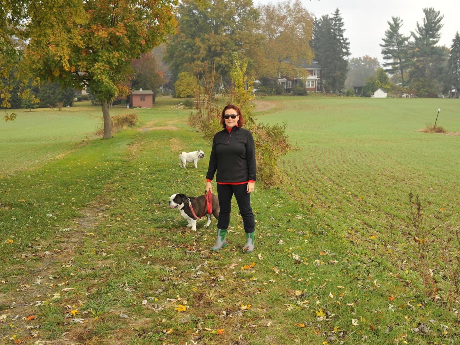 Jane from Mount Joy, Pennsylvania, United States