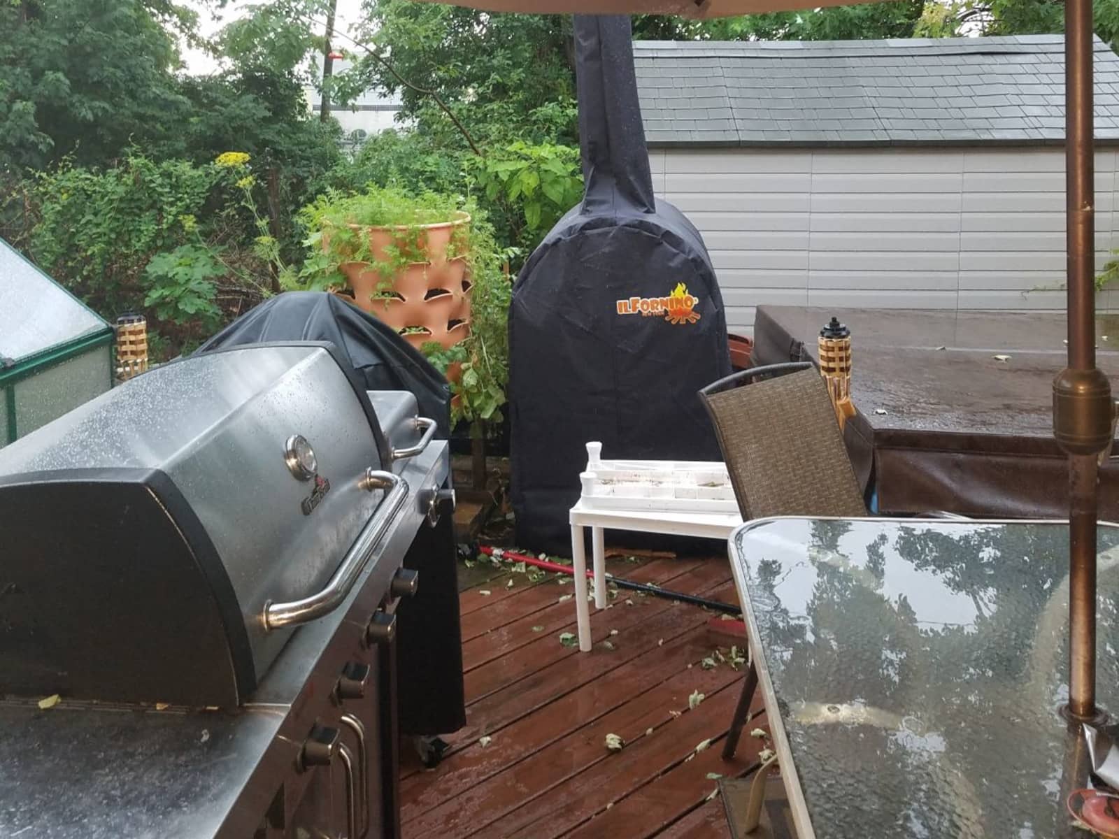 Housesitting assignment in Wilmington, Delaware, United States