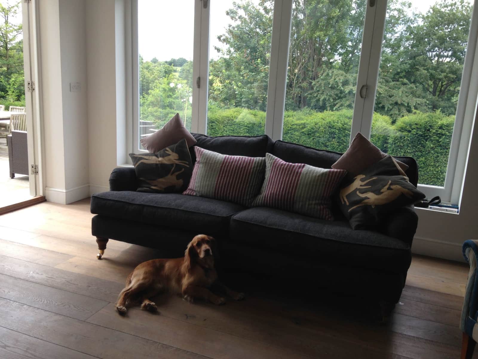 Housesitting assignment in Woodstock, United Kingdom