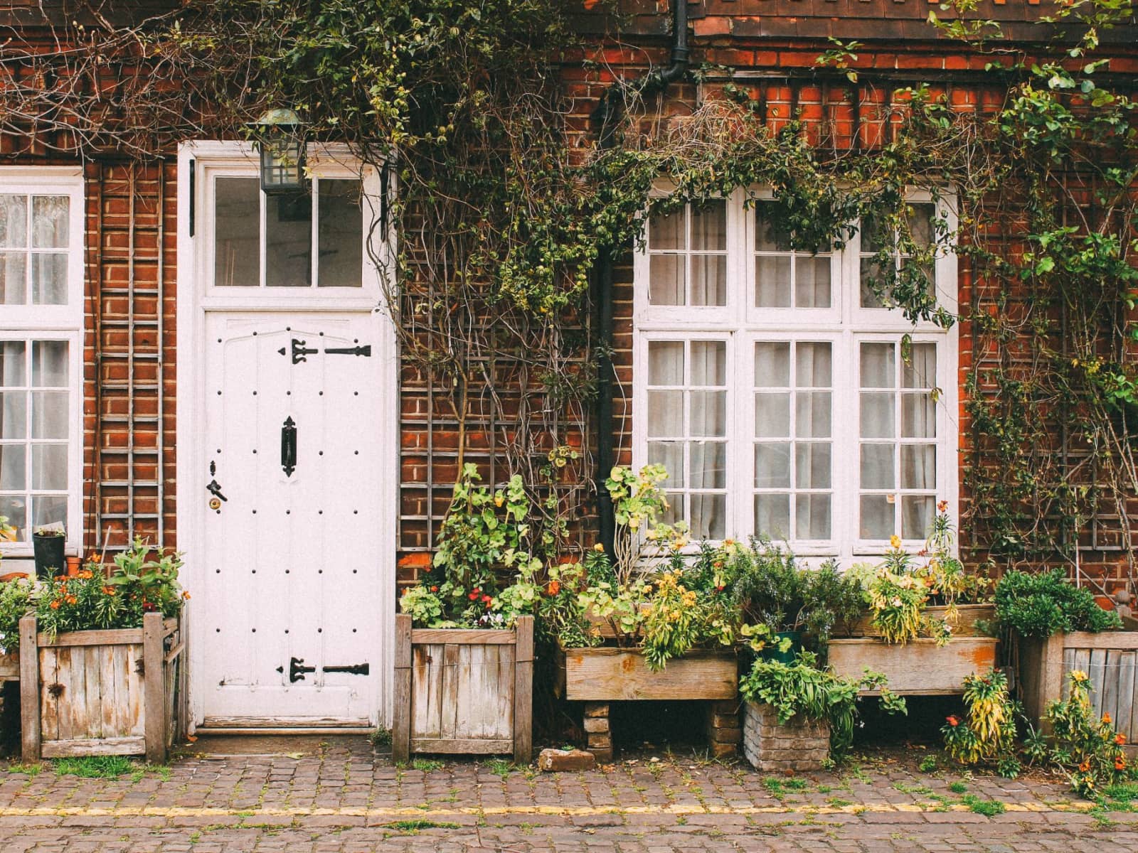 Housesitting assignment in London, United Kingdom