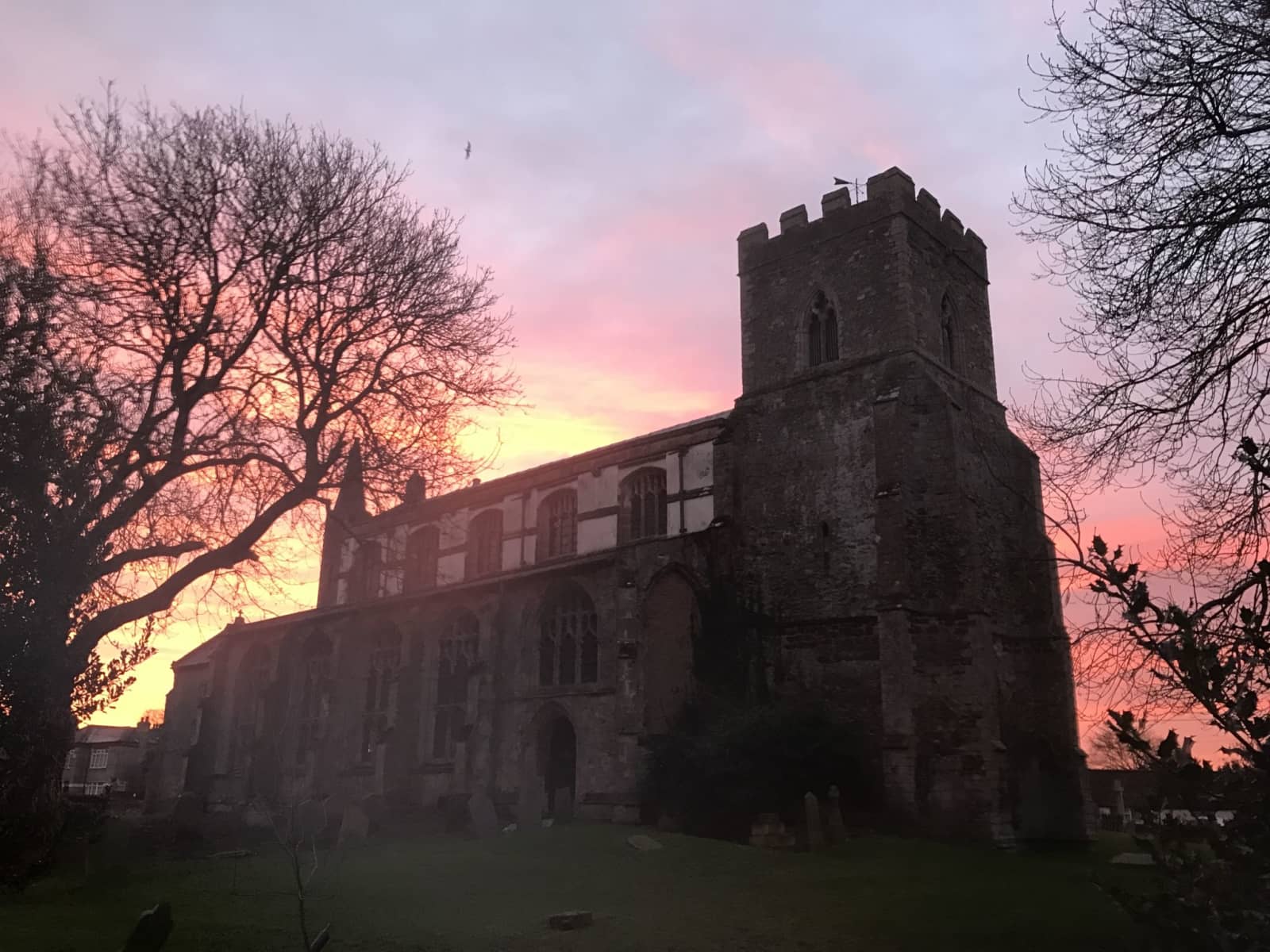 Housesitting assignment in Wiggenhall Saint Germans, United Kingdom