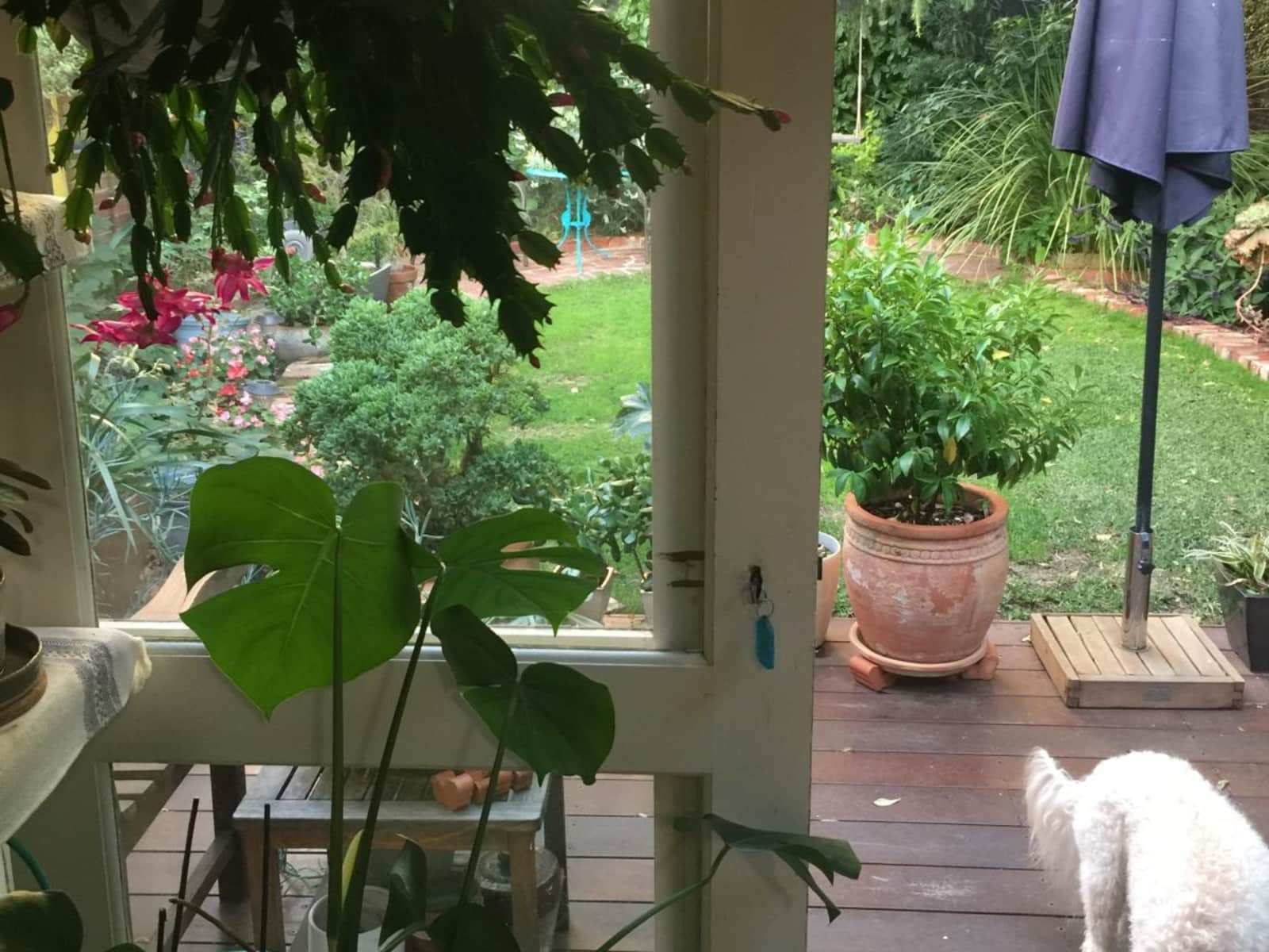 Housesitting assignment in Glen Iris, Victoria, Australia