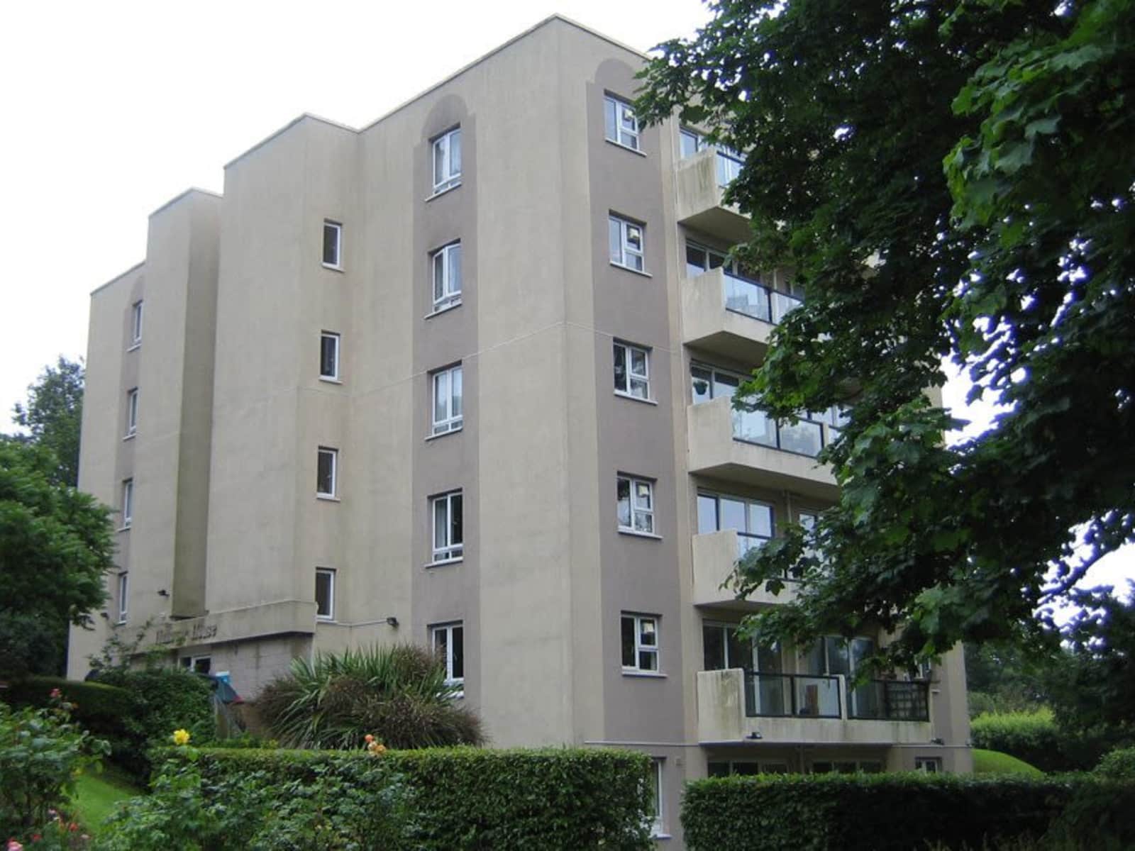 Housesitting assignment in Torquay, United Kingdom
