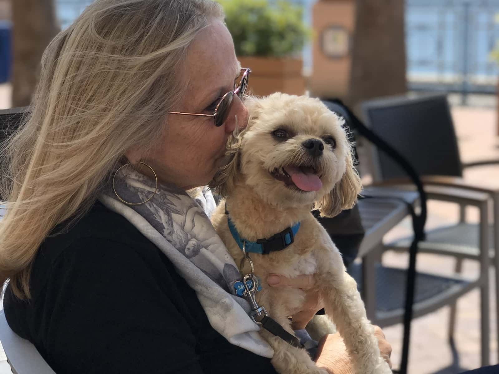 Patty & Shirl from Palm Harbor, Florida, United States