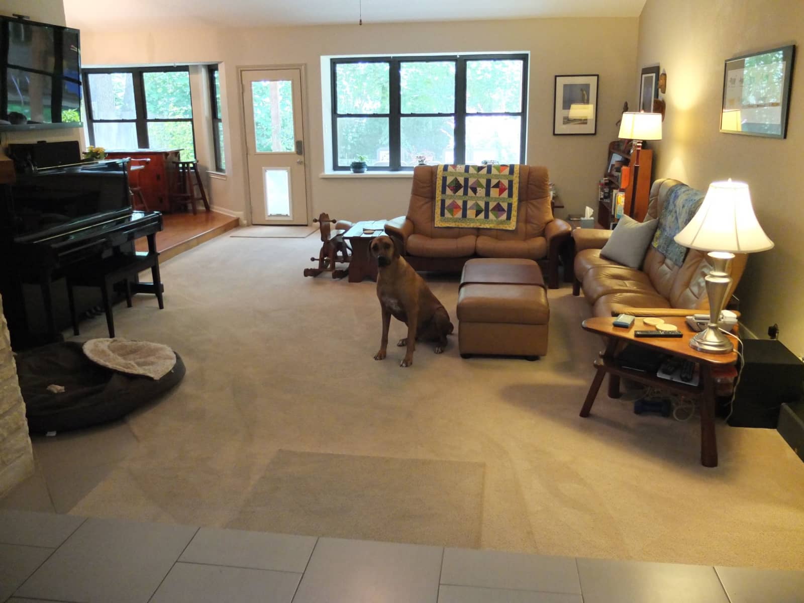 Housesitting assignment in Austin, Texas, United States