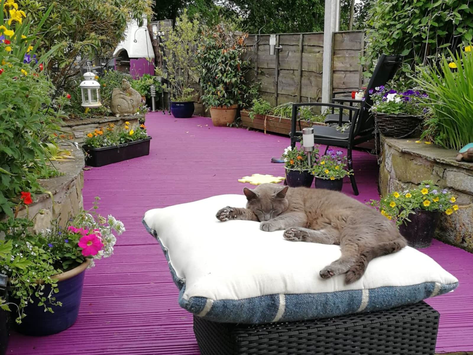 Housesitting assignment in Bury, United Kingdom
