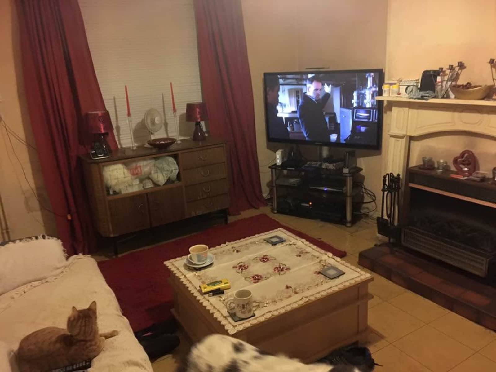 Housesitting assignment in Bedford, United Kingdom