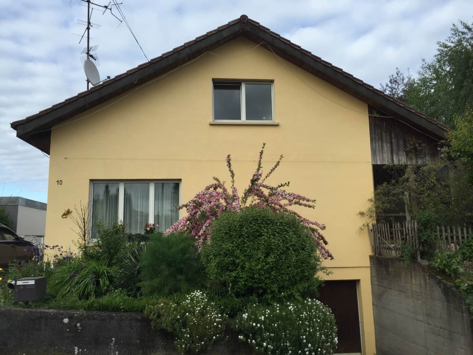 Housesitting assignment in Ranspach-le-Bas, France