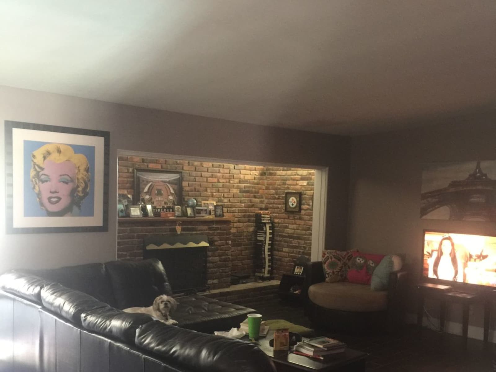 Housesitting assignment in Orlando, Florida, United States