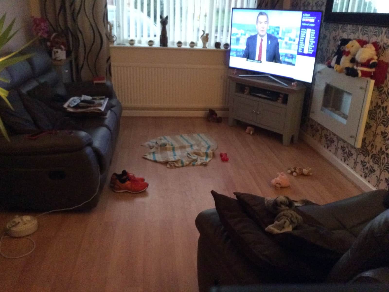 Housesitting assignment in Bromsgrove, United Kingdom