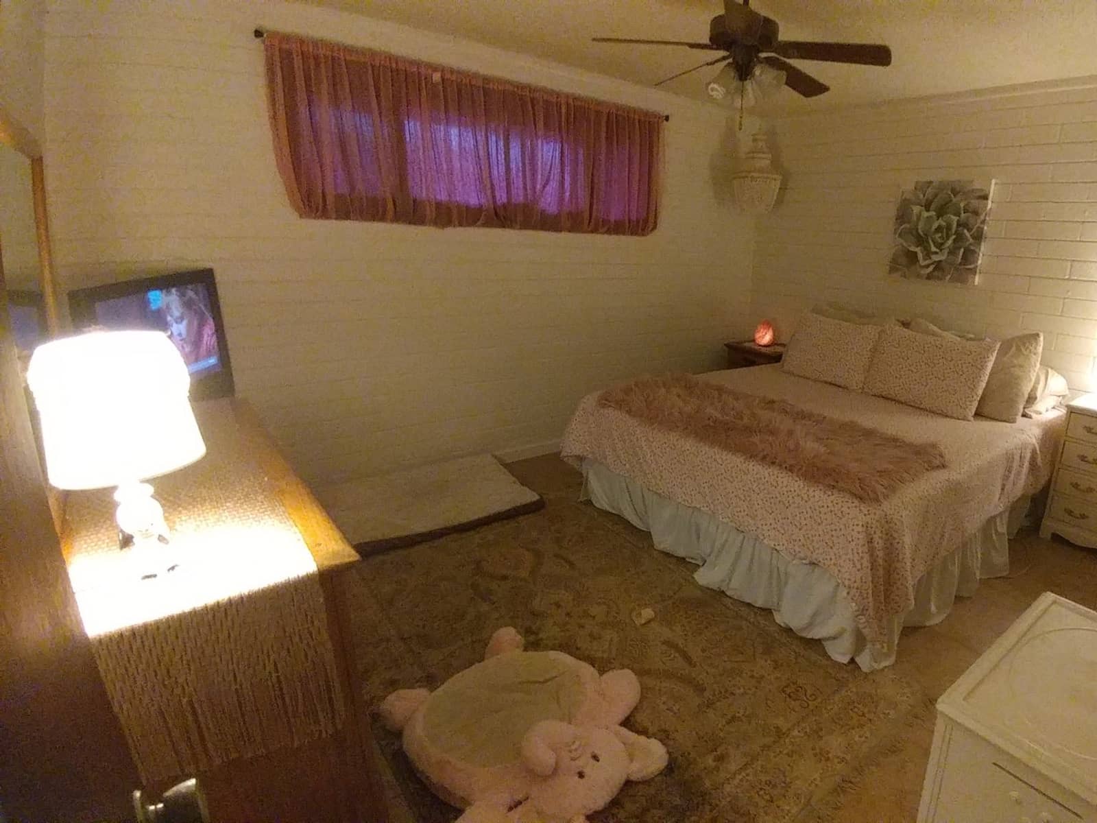 Housesitting assignment in Phoenix, Arizona, United States