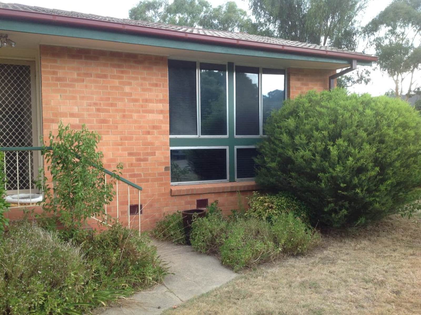 Housesitting assignment in Canberra, Australian Capital Territory, Australia