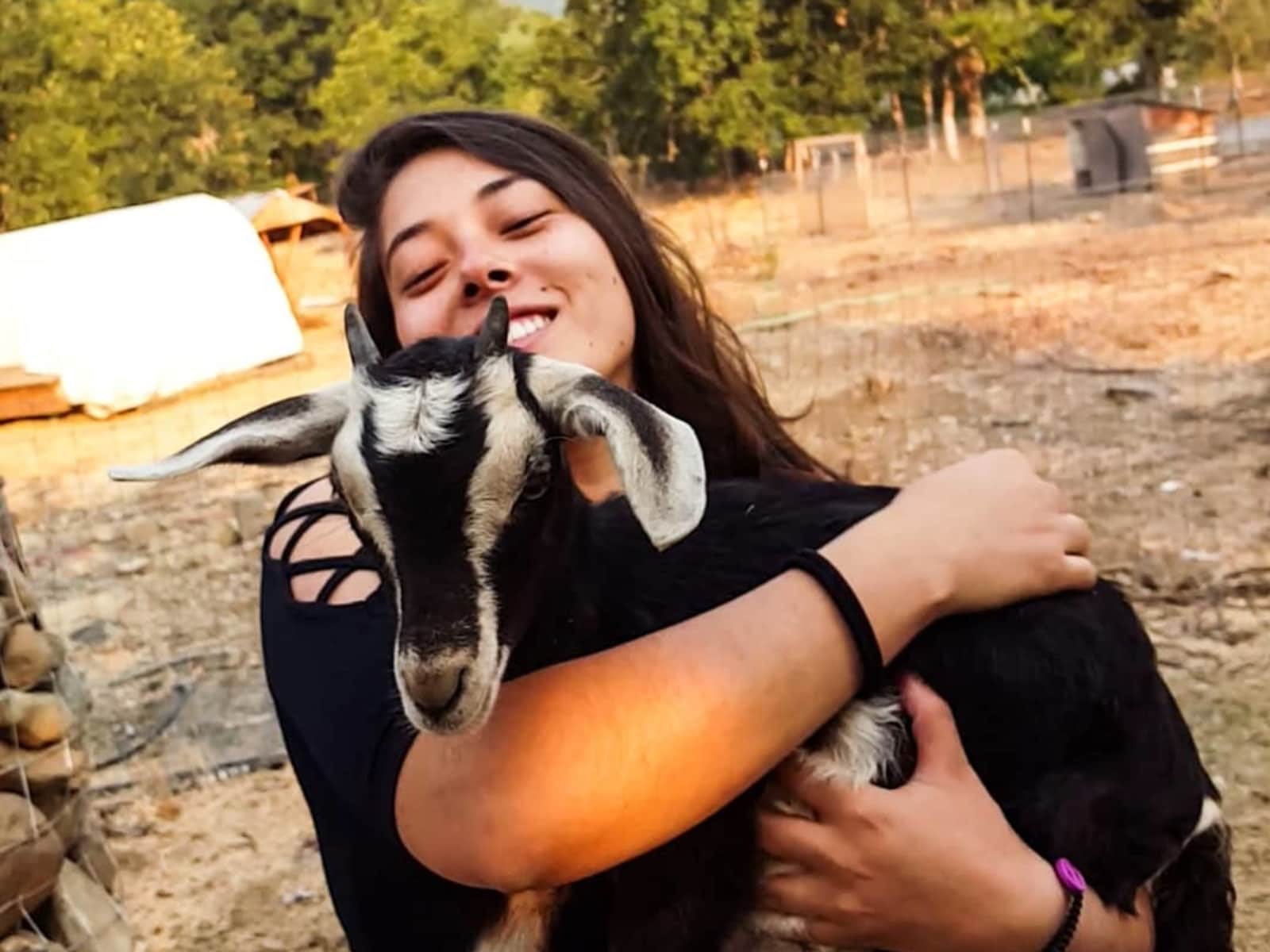 Dani from San Francisco, California, United States
