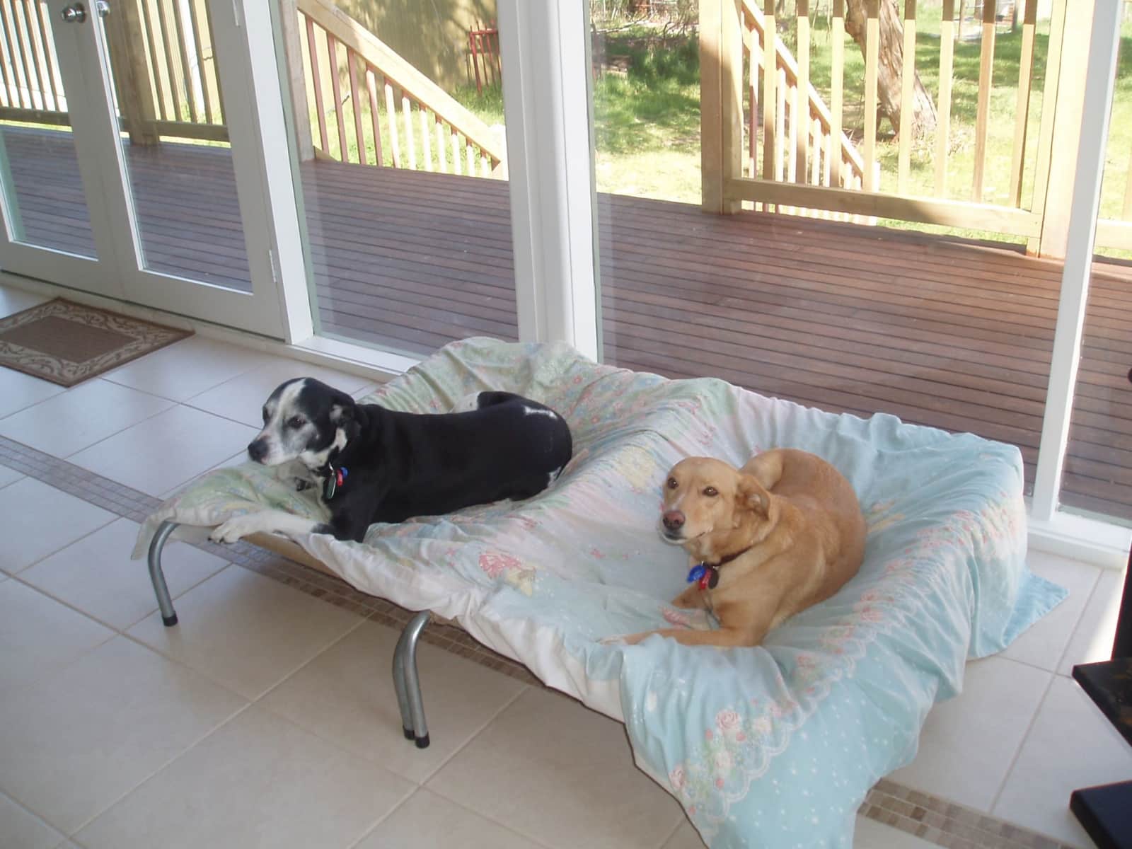 Bert from Melbourne, Victoria, Australia