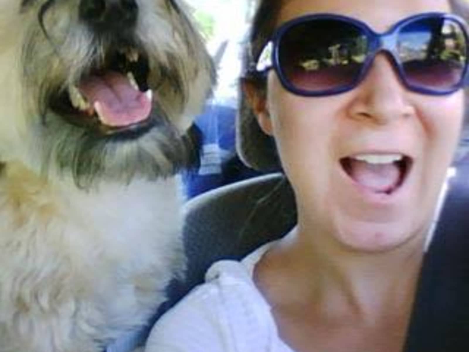 Melissa from White Plains, New York, United States