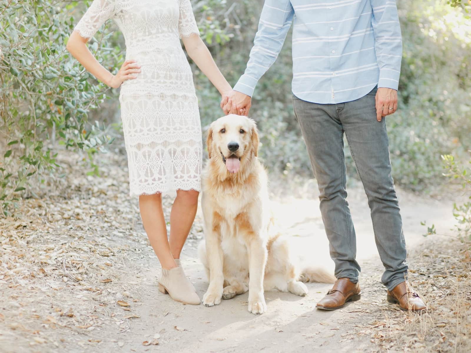 Housesitting assignment in Austin, Texas, United States