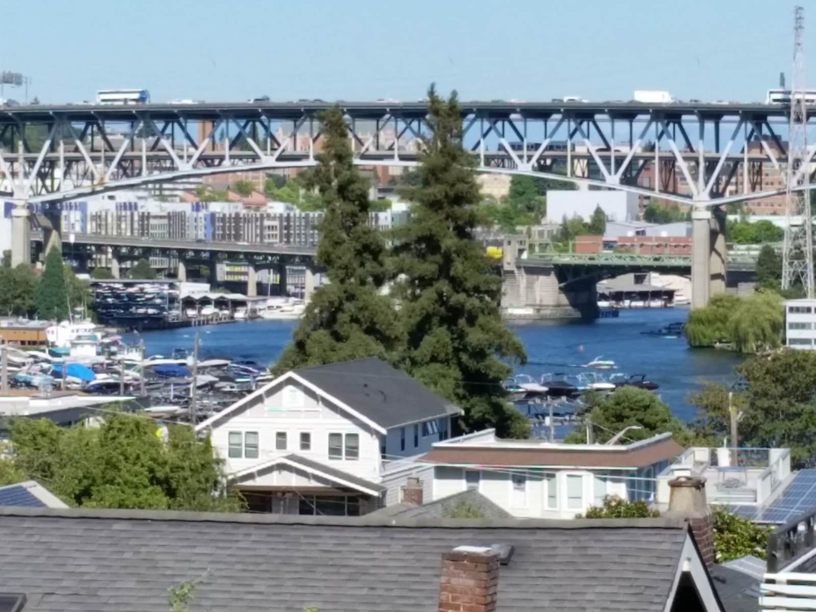 Housesitting assignment in Seattle, Washington, United States
