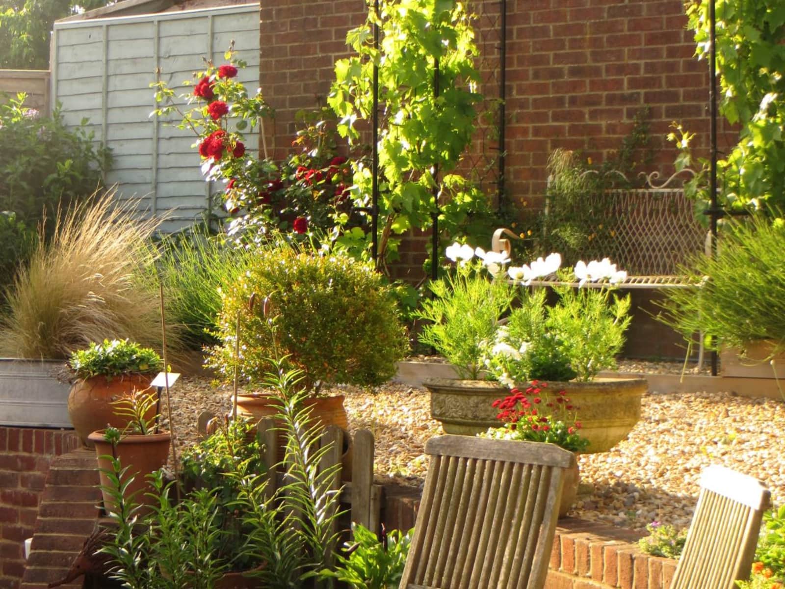 Housesitting assignment in Marlborough, United Kingdom