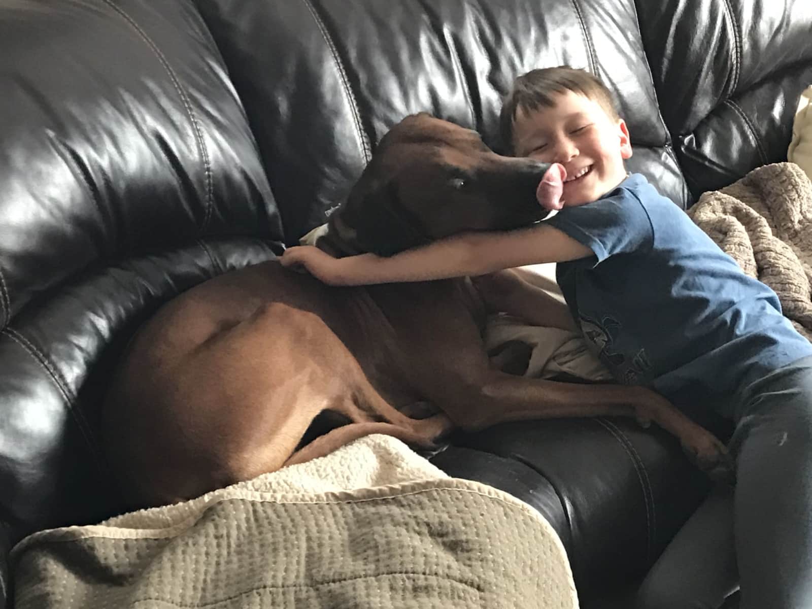 Housesitting assignment in Calgary, Alberta, Canada