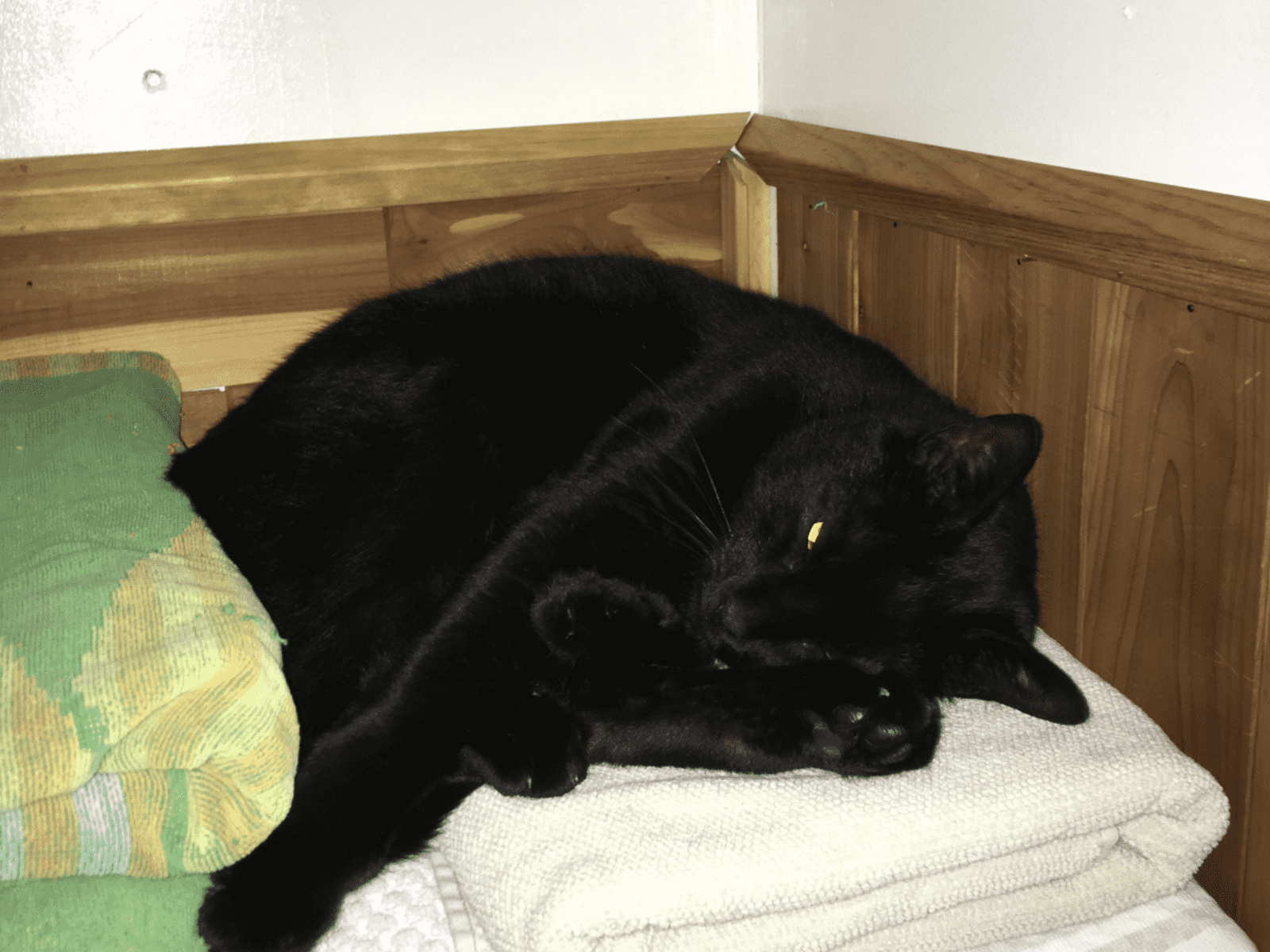 Housesitting assignment in Georgetown, Massachusetts, United States