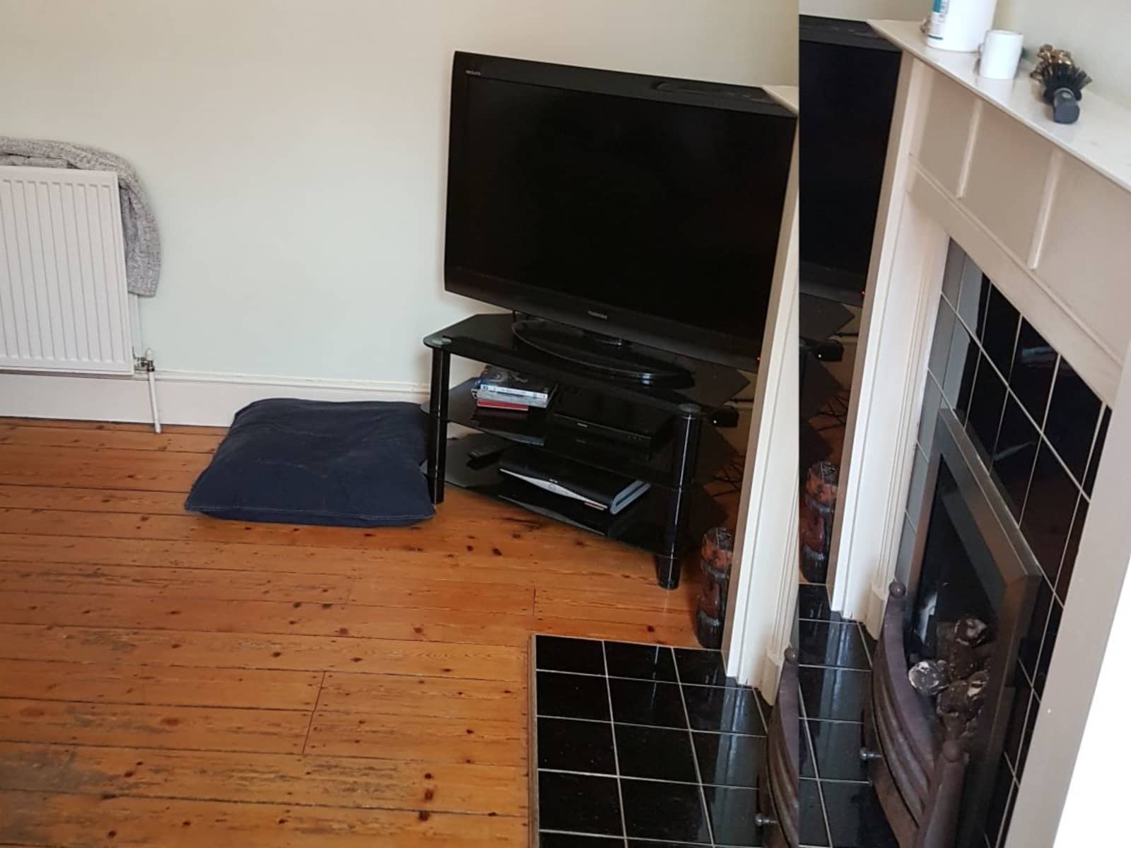 Housesitting assignment in Leicester, United Kingdom