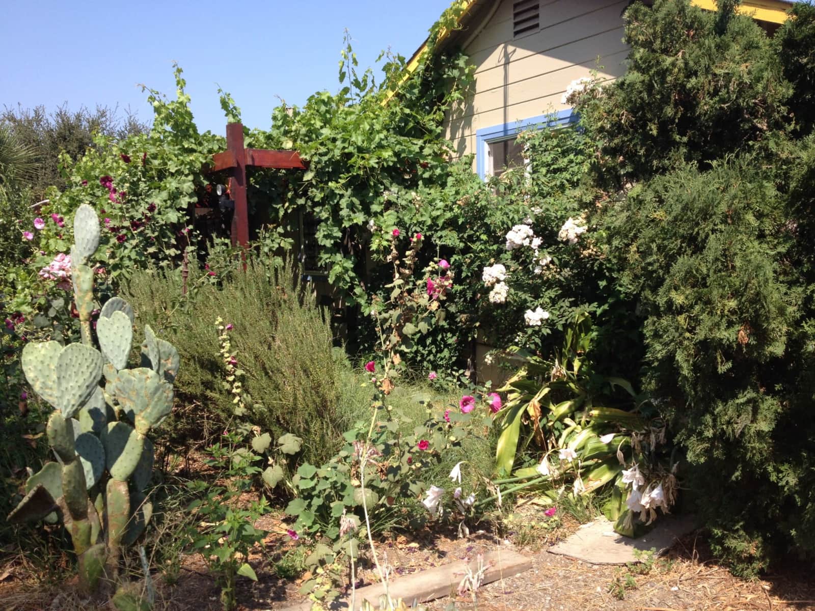 Housesitting assignment in Sonoma, California, United States
