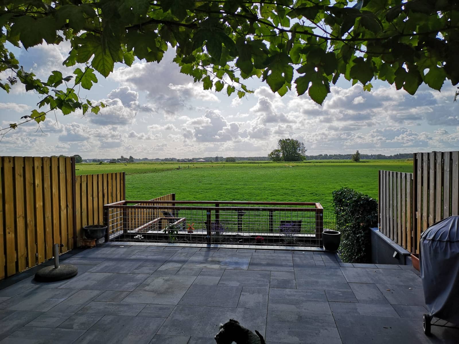 Housesitting assignment in Lisse, Netherlands