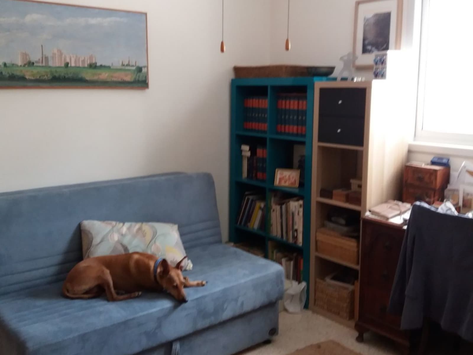 Housesitting assignment in Herzliyya, Israel