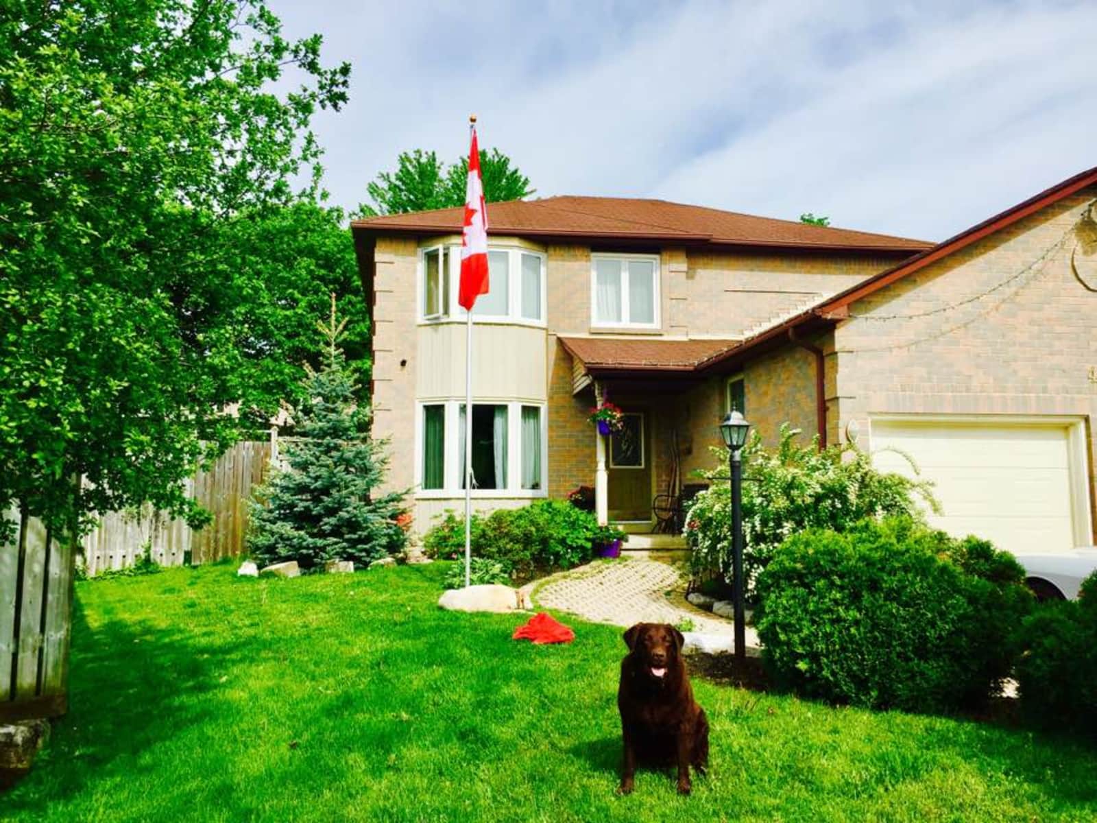 Housesitting assignment in Oshawa, Ontario, Canada