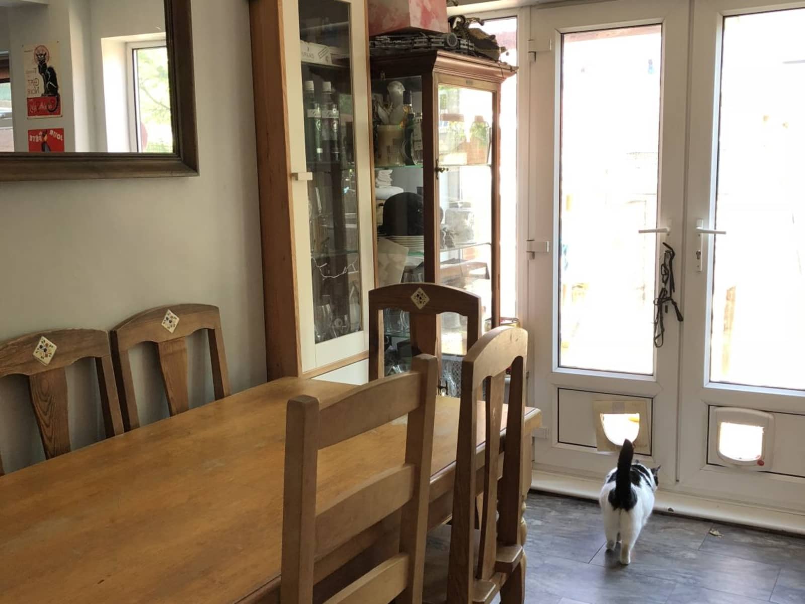 Housesitting assignment in Nottingham, United Kingdom
