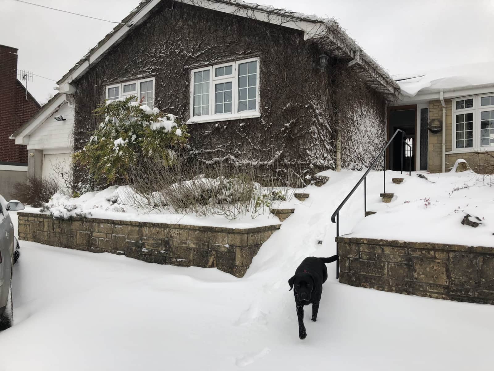 Housesitting assignment in Bristol, United Kingdom