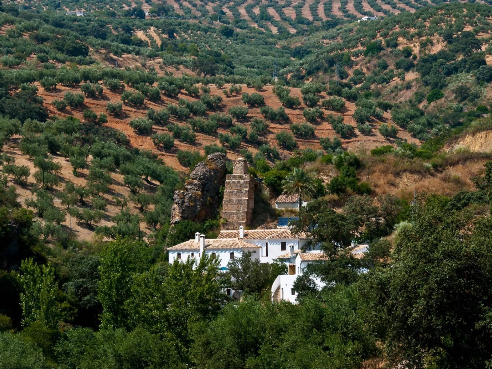 Housesitting assignment in Loja, Spain