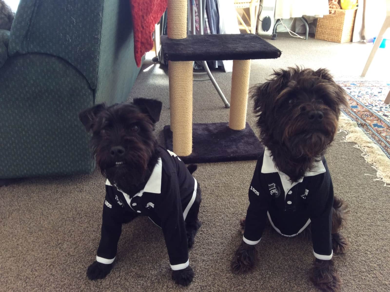 Alan & Sally from London, United Kingdom