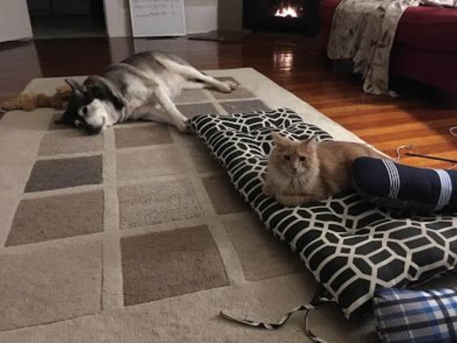 Housesitting assignment in Victoria, British Columbia, Canada