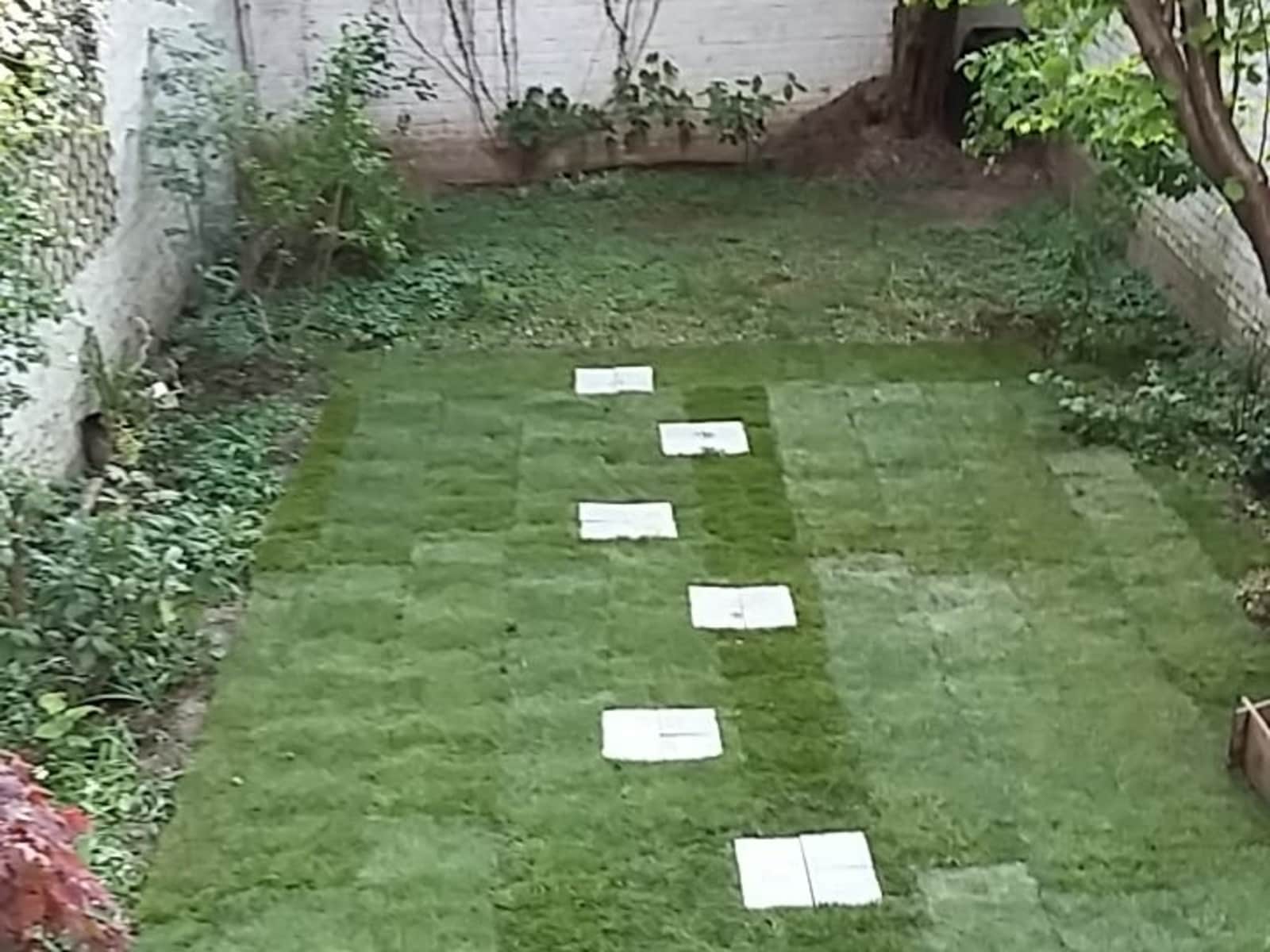 Housesitting assignment in Brussels, Belgium