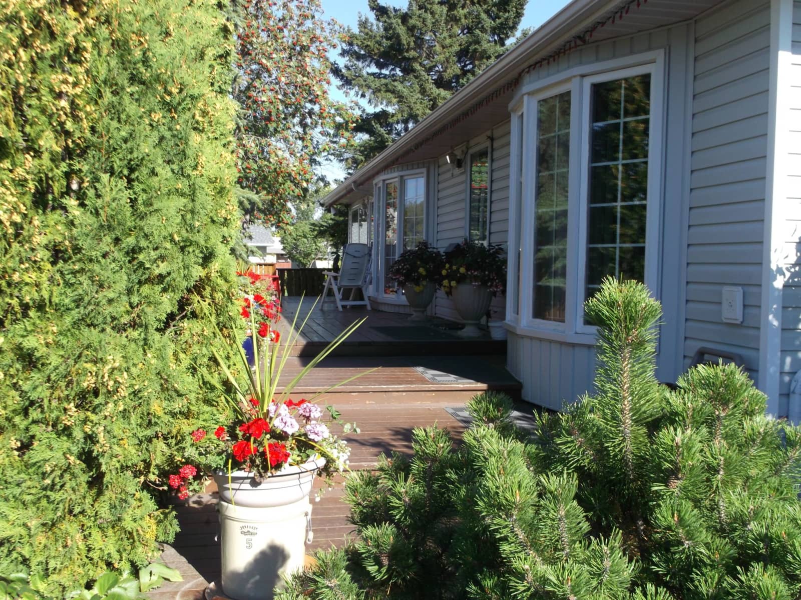 Housesitting assignment in Edmonton, Alberta, Canada